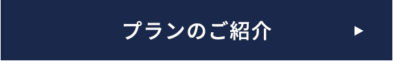 プランのご紹介 >>